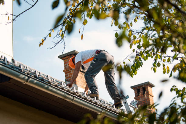 Best Roof Leak Repair  in Alderton, WA